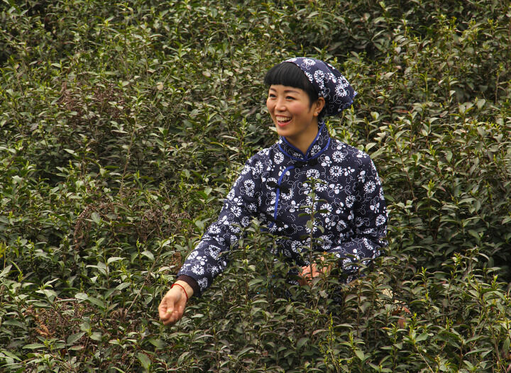 春满楼直播 热门1